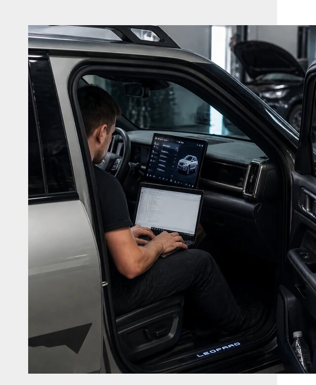 Русификация BYD Leopard 3 в Котельниках по цене от 21130 р. | ФастМобиль-Ктн